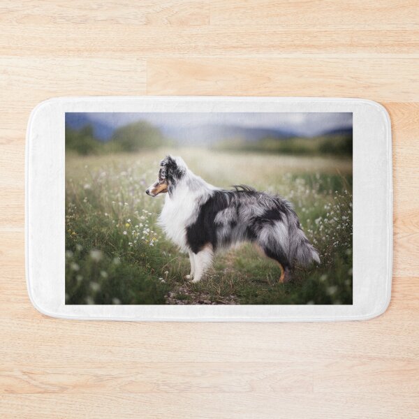 Item preview, Blue Merle Shetland Sheepdog designed and sold by hadissima.