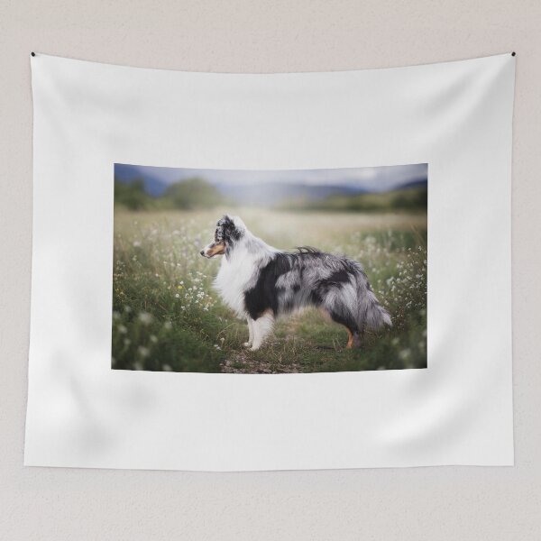 Item preview, Blue Merle Shetland Sheepdog designed and sold by hadissima.