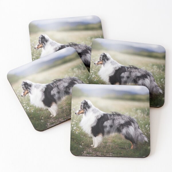Aperçu de l'œuvre Chien de berger Shetland bleu merle créée et vendue par hadissima.