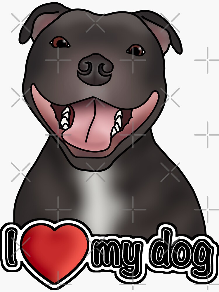 I love clearance bull terriers