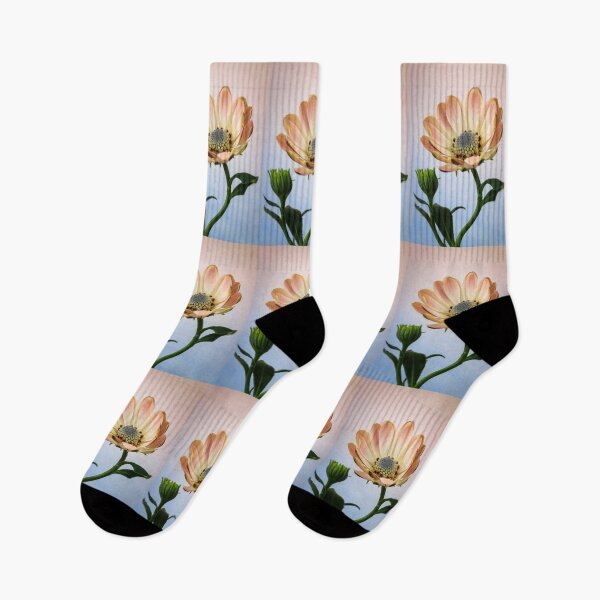 Item preview,  Osteospermum and Bud. designed and sold by John Ray.