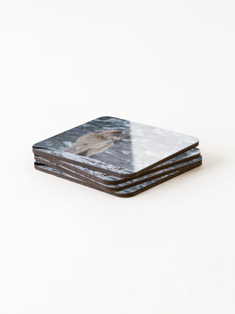 Thumbnail 4 of 5, Coasters (Set of 4), Timber Wolf designed and sold by WolvesOnly.