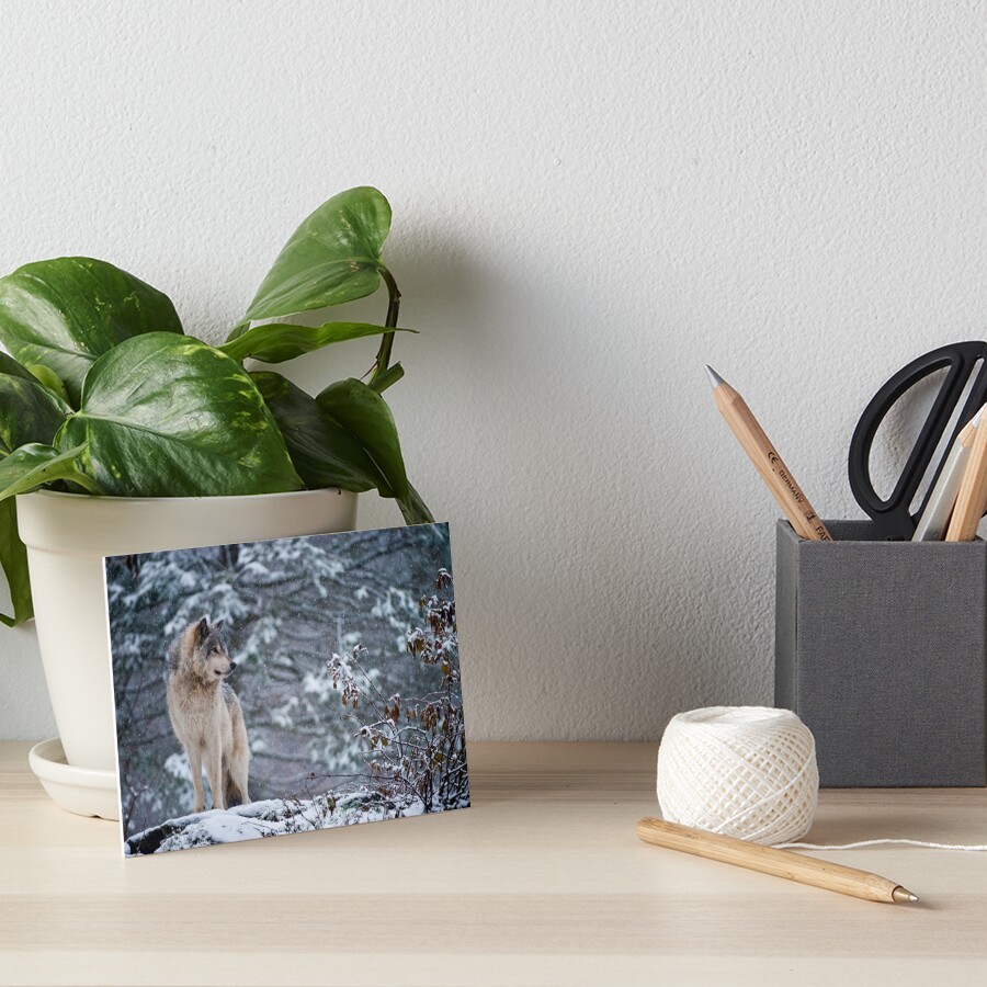 Item preview, Art Board Print designed and sold by WolvesOnly.