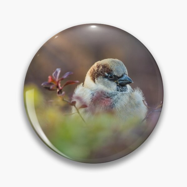 Item preview, Sunlight Bathing Finch designed and sold by mljdwhite.