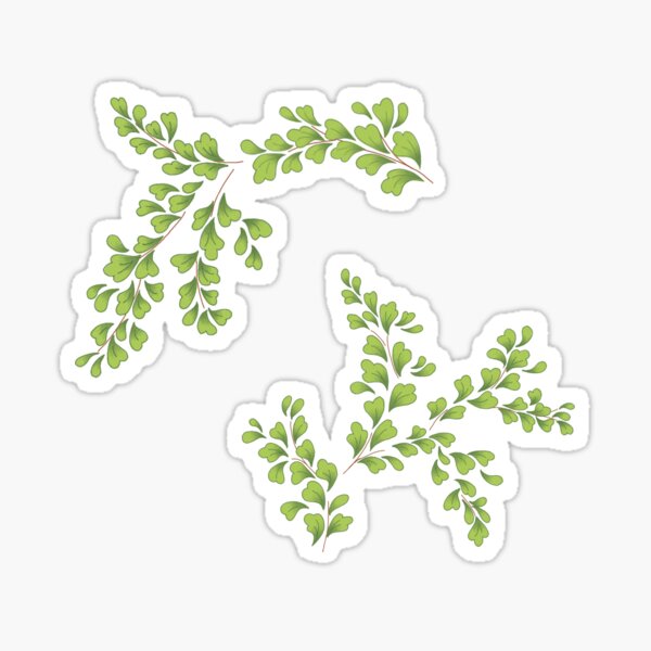 Item preview, Maiden hair fern delicate foliage designed and sold by Poplartree.