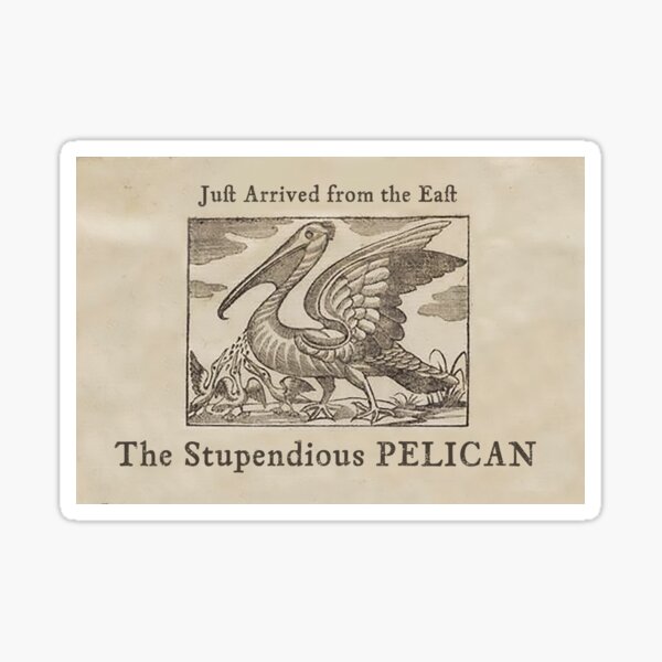 The Stupendious Pelican Sticker