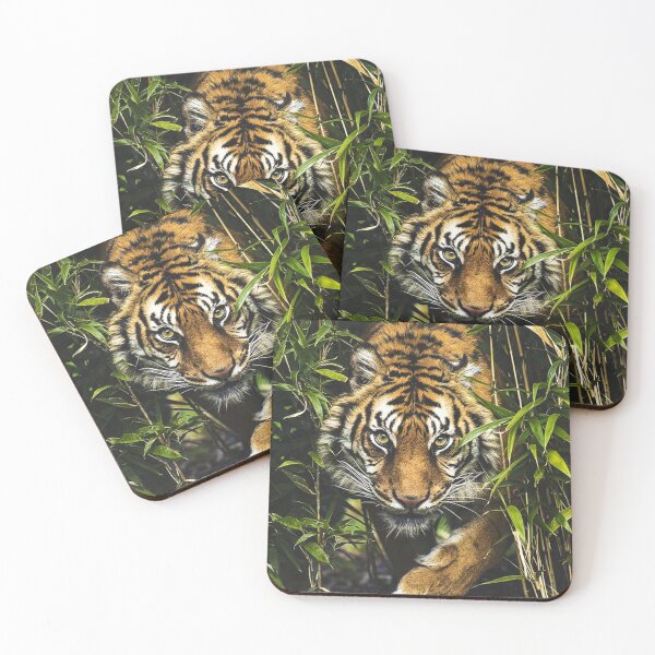 Item preview, Animal Club Tiger designed and sold by Animal Club.