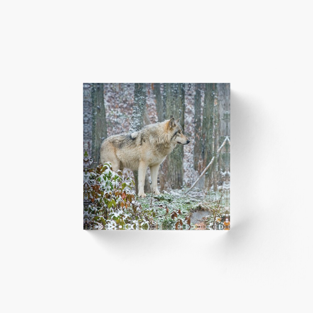 Vista previa del artículo con la obra «Bloque acrílico», diseñado y vendido por WolvesOnly.