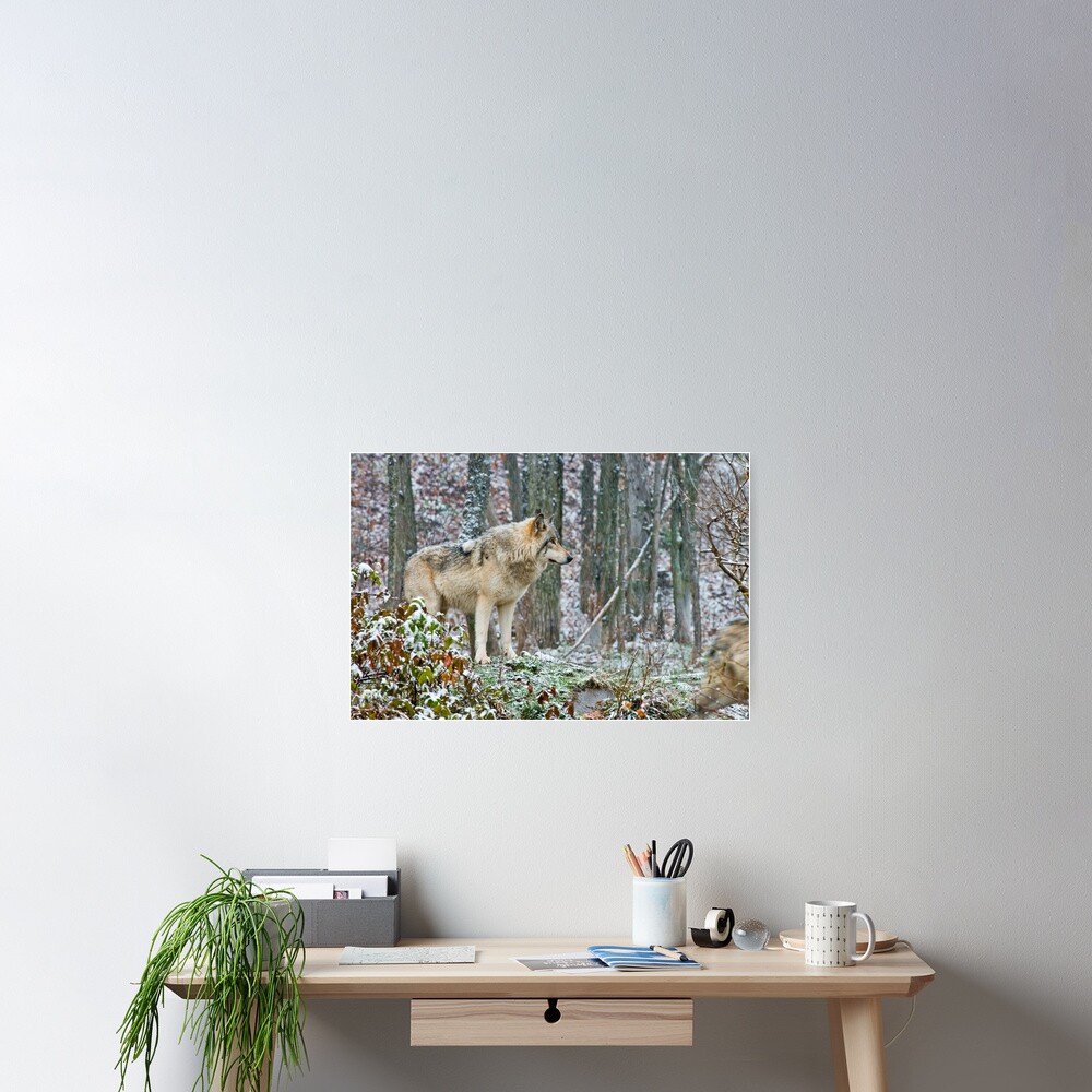 Vista previa del artículo con la obra «Póster», diseñado y vendido por WolvesOnly.
