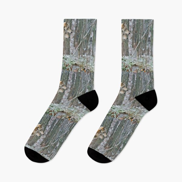 Item preview, Timber Wolves designed and sold by WolvesOnly.