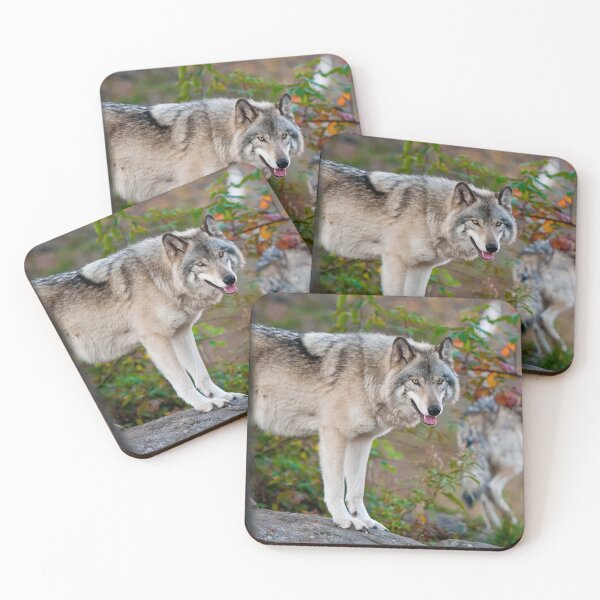 Artikelvorschau, Timber Wolves entworfen und verkauft von WolvesOnly.