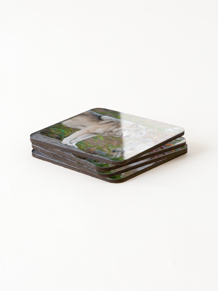 Thumbnail 4 of 5, Coasters (Set of 4), Timber Wolves designed and sold by WolvesOnly.