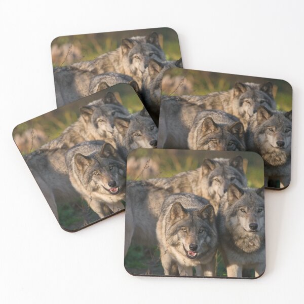 Item preview, Timber Wolves designed and sold by WolvesOnly.