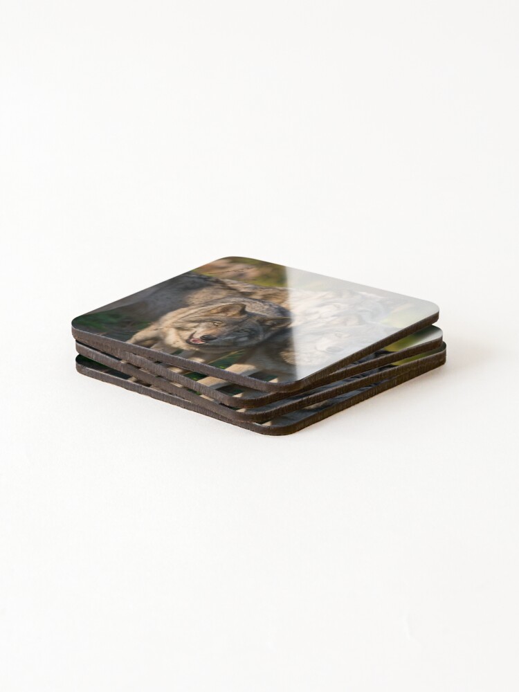 Thumbnail 4 of 5, Coasters (Set of 4), Timber Wolves designed and sold by WolvesOnly.