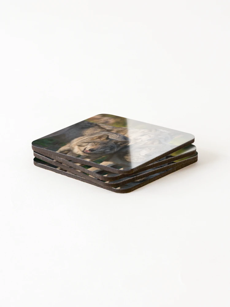 Thumbnail 4 of 5, Coasters (Set of 4), Timber Wolves designed and sold by WolvesOnly.
