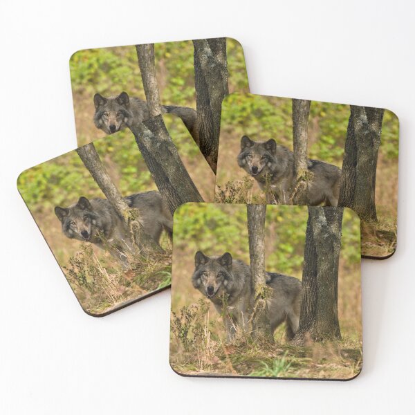 Item preview, Timber Wolf designed and sold by WolvesOnly.