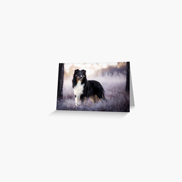 Item preview, Sheltie in the frost designed and sold by hadissima.