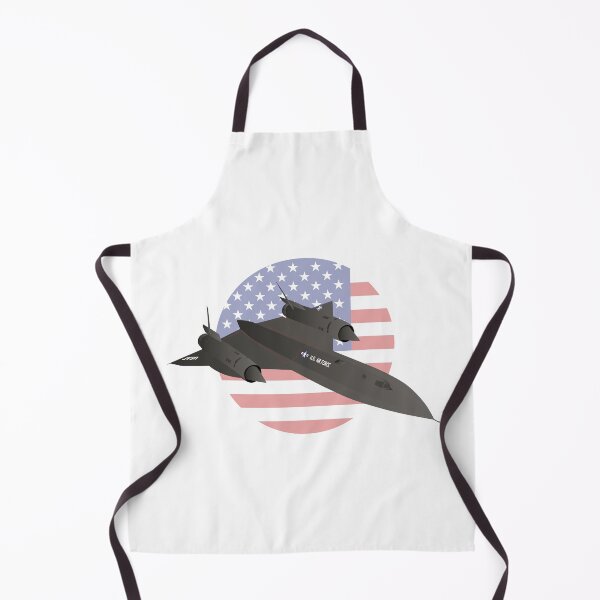 Item preview, American SR-71 Blackbird Reconnaissance Aircraft designed and sold by NorseTech.