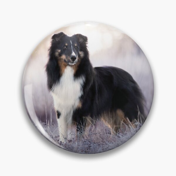 Aperçu de l'œuvre Sheltie dans le gel créée et vendue par hadissima.