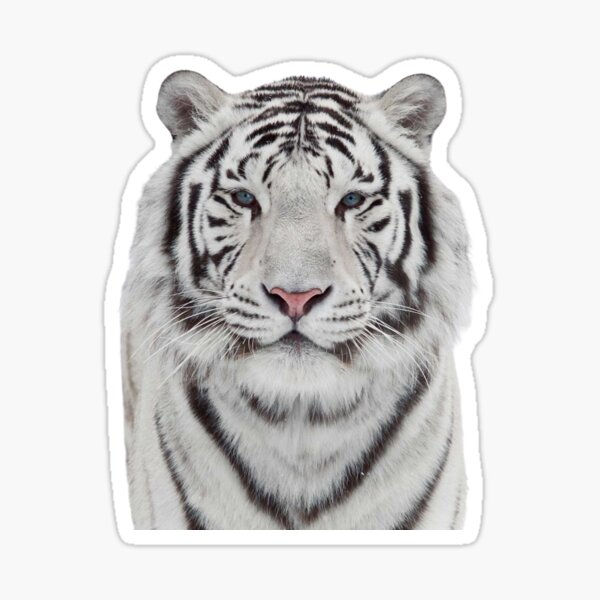 Item preview, White tiger designed and sold by dsgn-by-frost.
