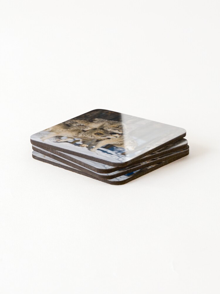 Thumbnail 4 of 5, Coasters (Set of 4), Timber Wolves designed and sold by WolvesOnly.