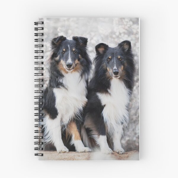 Item preview, Tricolor Shetland Sheepdogs designed and sold by hadissima.