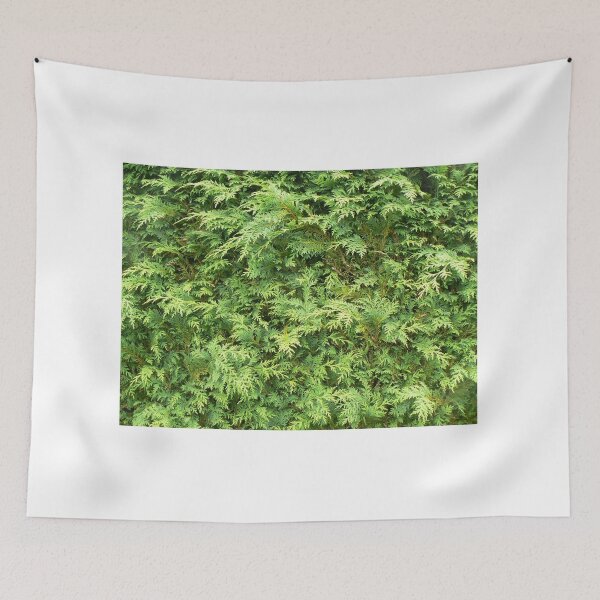 Item preview, Botanic_Image_027 designed and sold by DRS-Edinburgh.