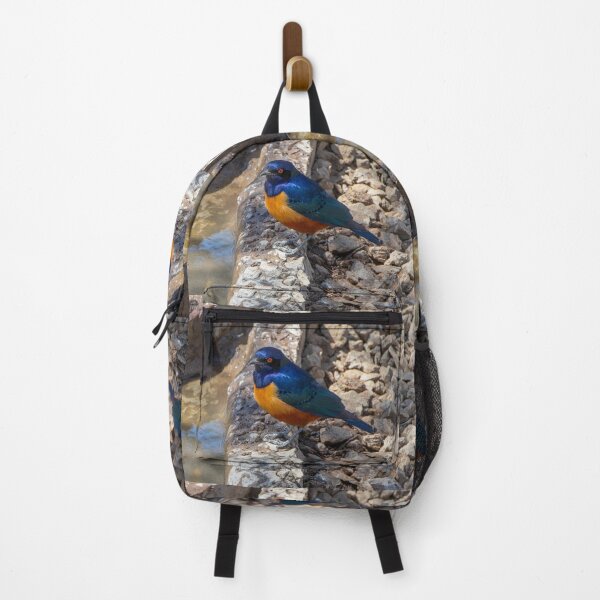 Item preview, Stunning Blue and Orange Starling Bird of Africa designed and sold by SafariByMarisa.