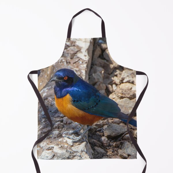 Item preview, Stunning Blue and Orange Starling Bird of Africa designed and sold by SafariByMarisa.