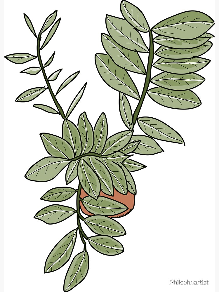 Twisty Houseplant by Philcohnartist