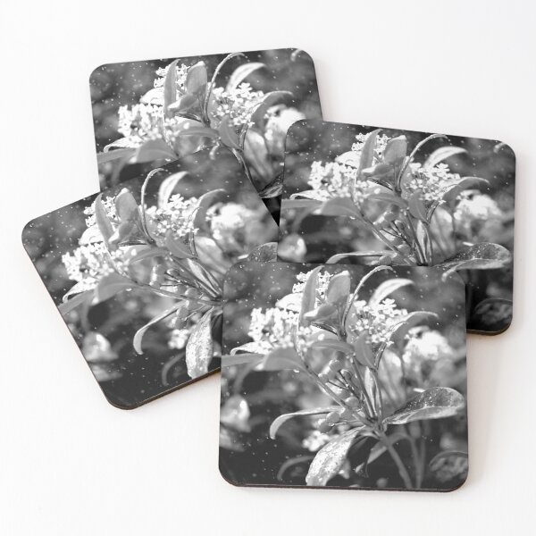 Item preview, When It Rains.... (Monochrome) designed and sold by DoodleBugImages.