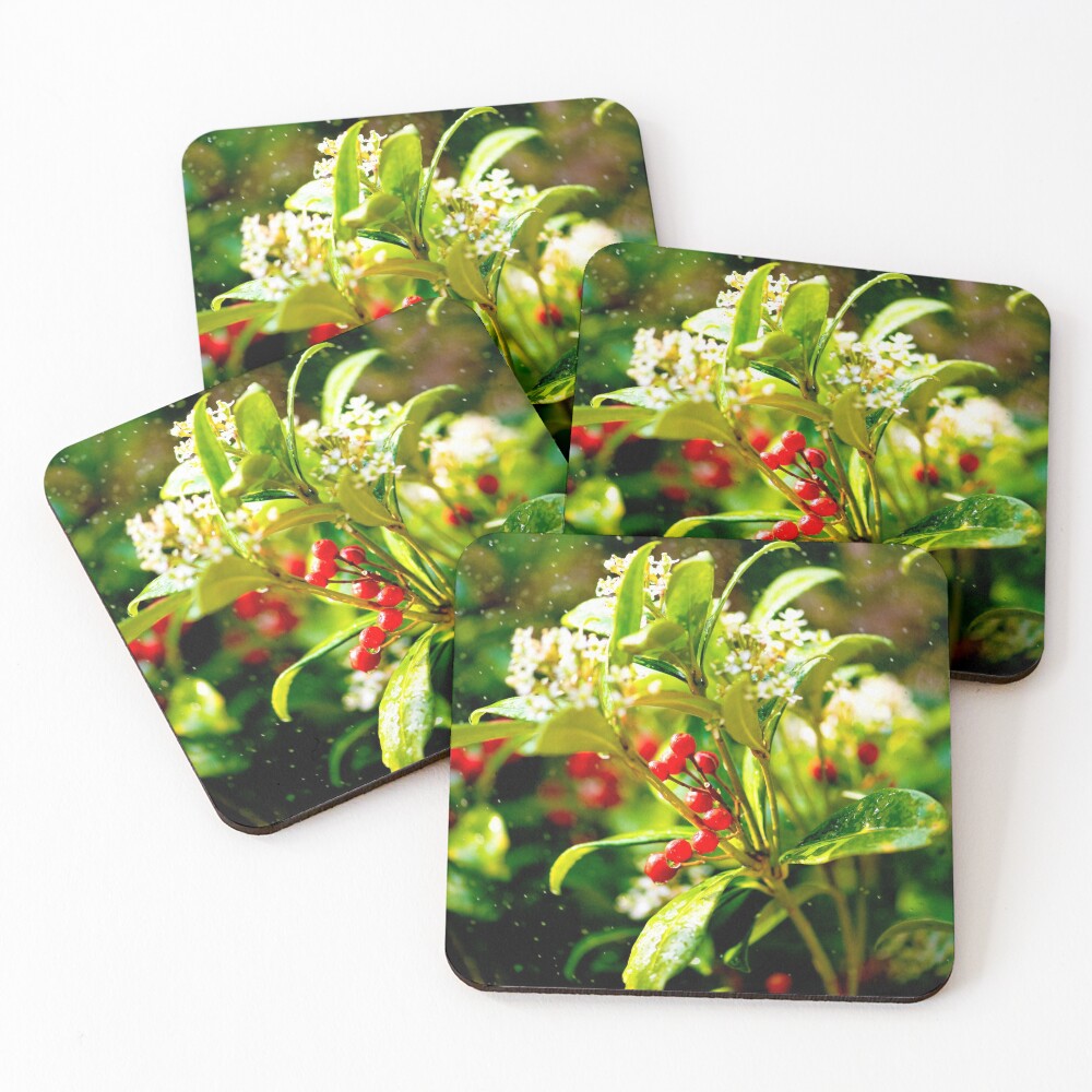 Item preview, Coasters (Set of 4) designed and sold by DoodleBugImages.