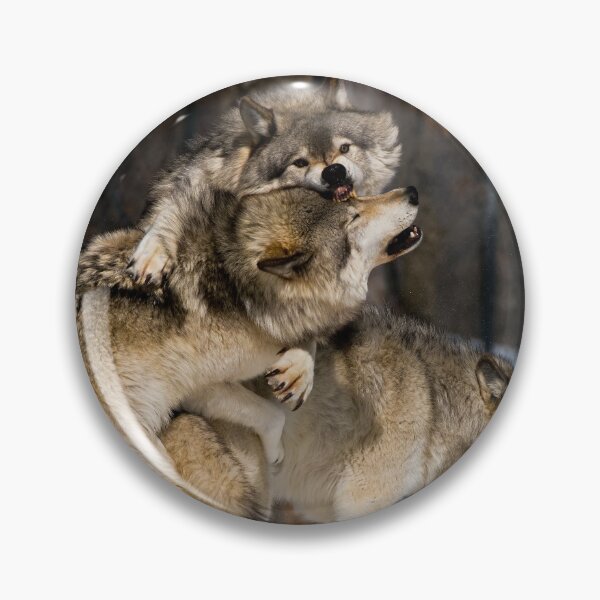 Artikelvorschau, Timber Wolves entworfen und verkauft von WolvesOnly.