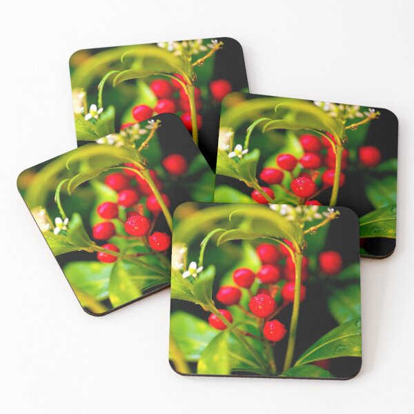 Item preview, Summer Berries designed and sold by DoodleBugImages.