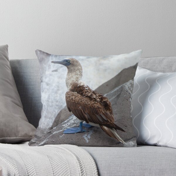 Item preview, Galapagos Islands Blue Footed Booby Bird designed and sold by SafariByMarisa.