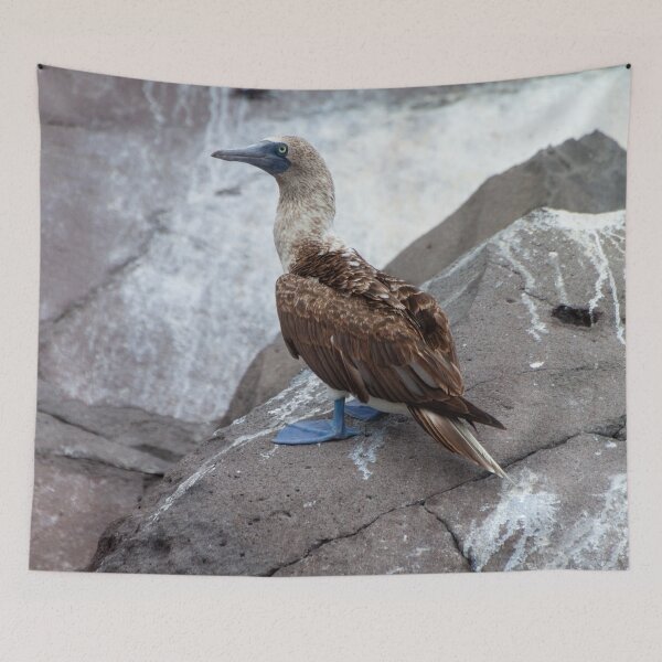 Item preview, Galapagos Islands Blue Footed Booby Bird designed and sold by SafariByMarisa.