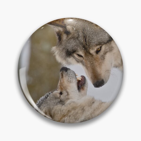 Item preview, Timber Wolves designed and sold by WolvesOnly.