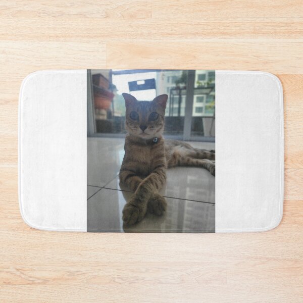 Item preview, Kitten designed and sold by saravana.