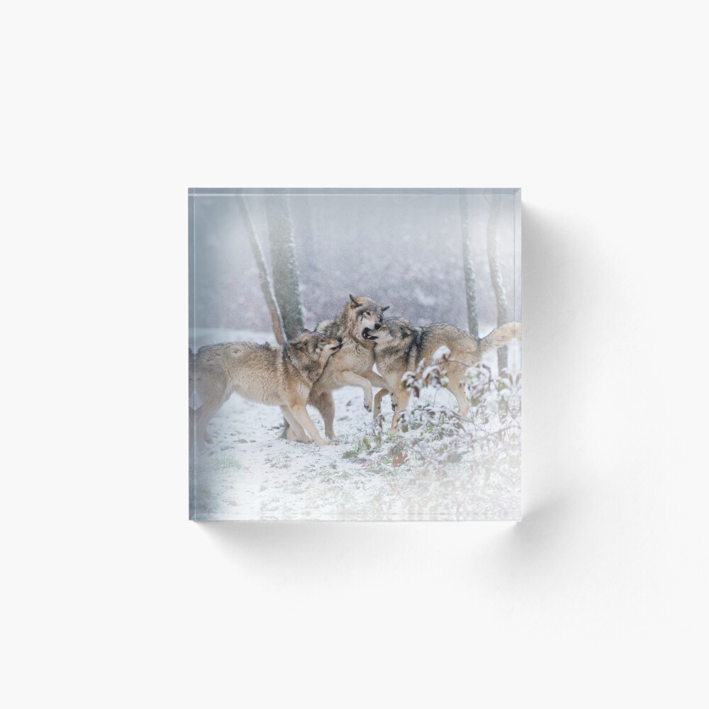 Item preview, Acrylic Block designed and sold by WolvesOnly.