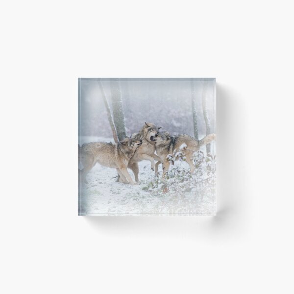 Artikelvorschau, Timber Wolves entworfen und verkauft von WolvesOnly.