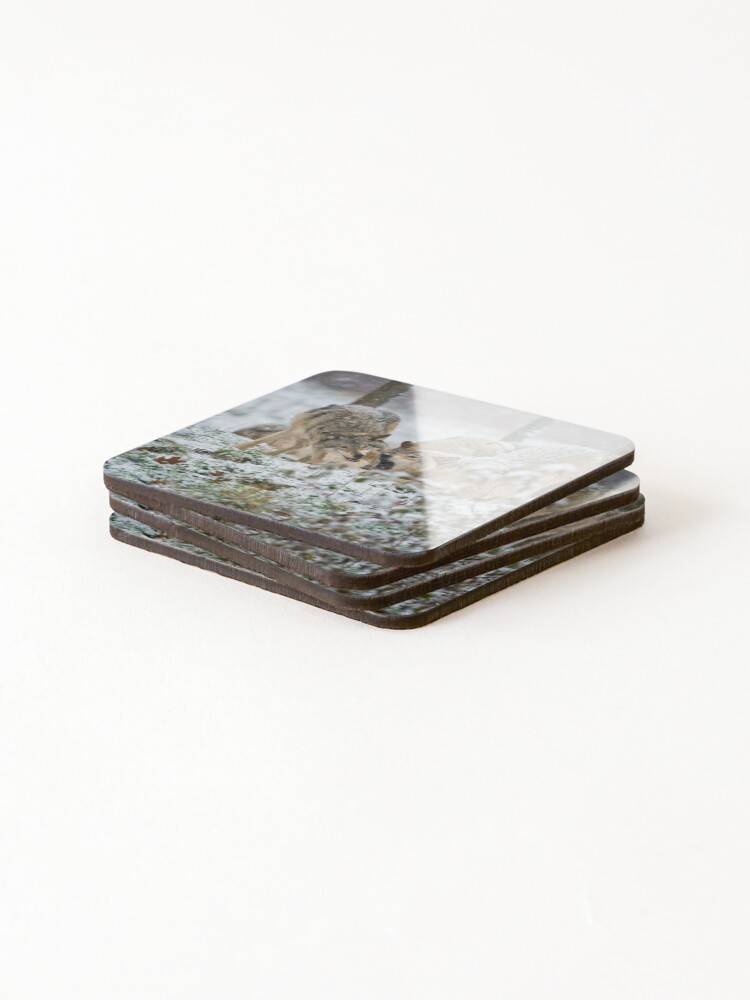Thumbnail 4 of 5, Coasters (Set of 4), Timber Wolves designed and sold by WolvesOnly.