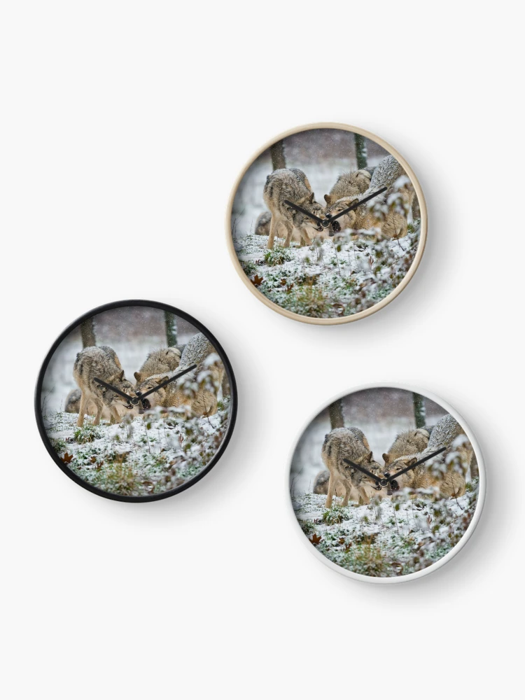 Thumbnail 3 of 4, Clock, Timber Wolves designed and sold by WolvesOnly.