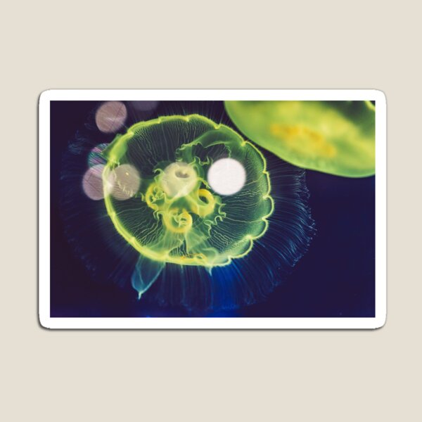Item preview, Medusa designed and sold by Pinepool.