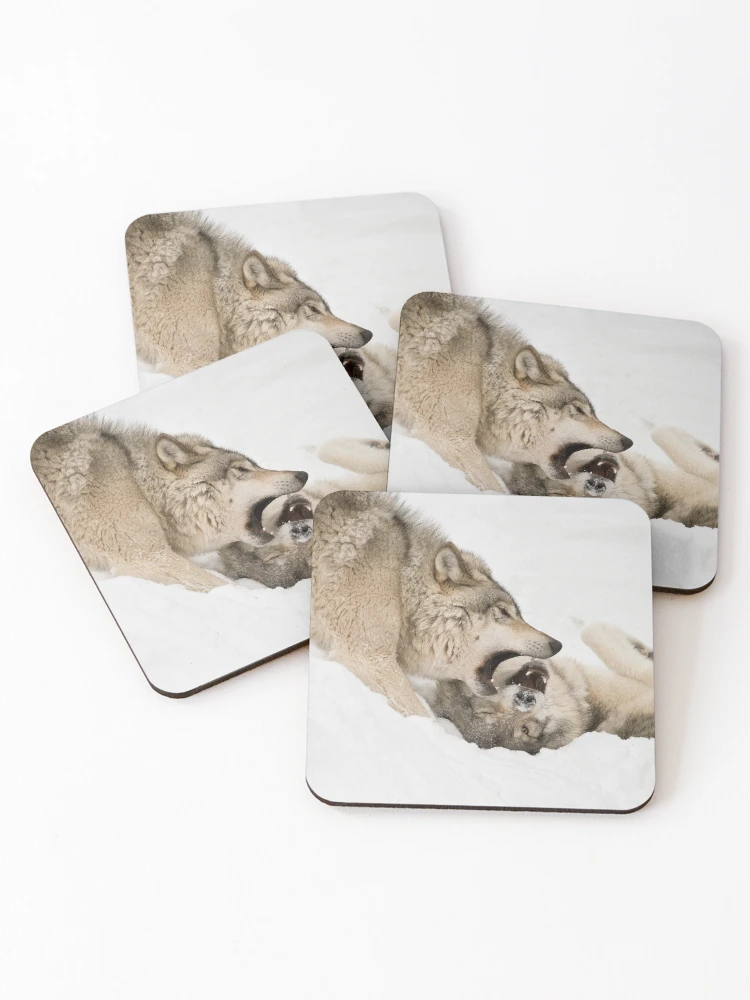 Thumbnail 1 of 5, Coasters (Set of 4), Timber Wolves designed and sold by WolvesOnly.