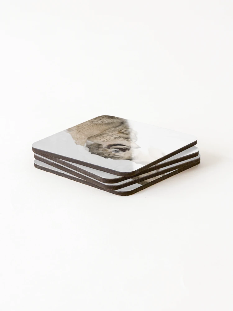 Thumbnail 4 of 5, Coasters (Set of 4), Timber Wolves designed and sold by WolvesOnly.