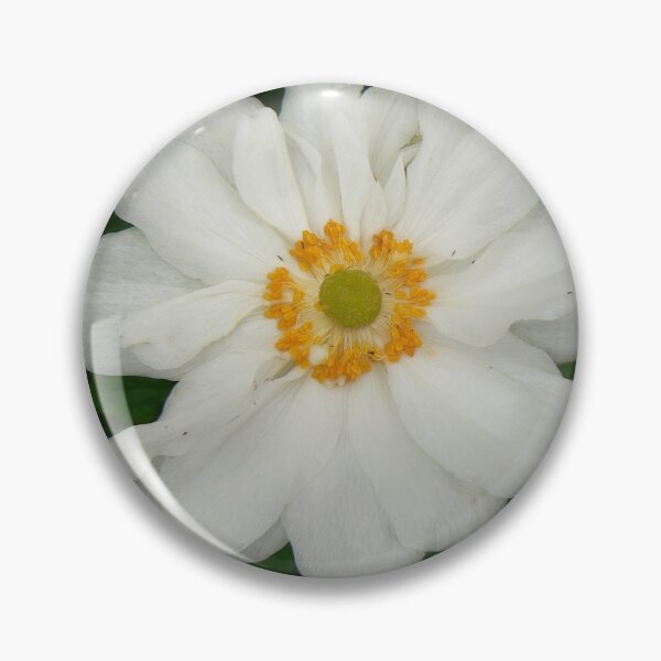 Item preview, Botanic_Image_028 designed and sold by DRS-Edinburgh.