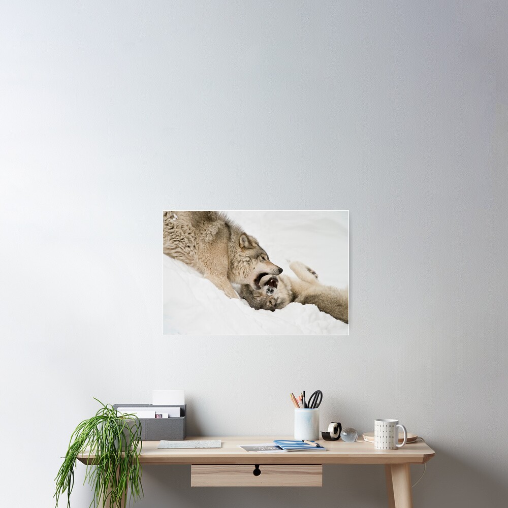 Item preview, Poster designed and sold by WolvesOnly.