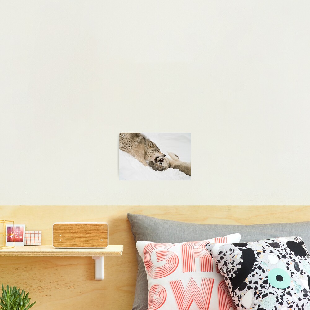 Item preview, Photographic Print designed and sold by WolvesOnly.
