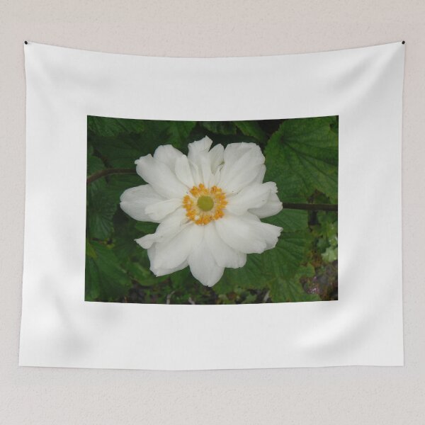 Item preview, Botanic_Image_028 designed and sold by DRS-Edinburgh.