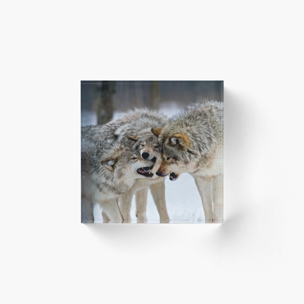 Item preview, Acrylic Block designed and sold by WolvesOnly.
